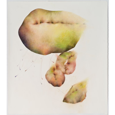 Chayote, Cycles II, 48" x 42", mixed media on sanded paper, 2009