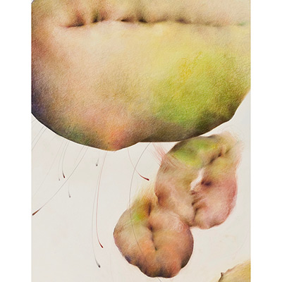 Chayote, Cycles II (detail), 48" x 42", mixed media on sanded paper, 2009